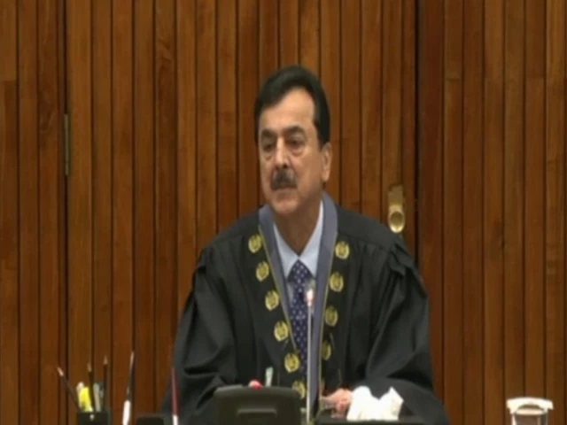 source screengrab from senate youtube channel source screengrab from senate youtube channel