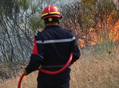 algeria battles 119 wildfires farm palm grove blazes in 24 hours