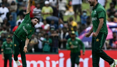 abrar ahmed takes his second wicket as netherlands photo x therealpcb