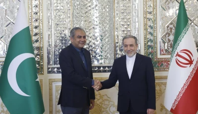 naqvi meets iran s fm araghchi photo x