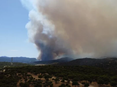 spain declares national emergency over wildfires in madrid region