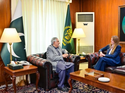 fm dar british envoy discuss pakistan uk ties regional situation