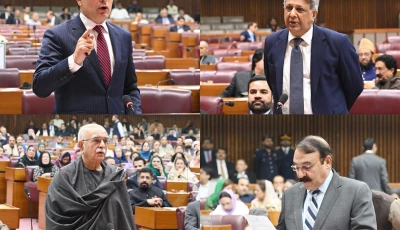 federal minister for parliamentary affairs dr tariq fazal chaudhry law minister azam nazeer tarar leader of the opposition in the na mahmood khan achakzai pti chairman barrister gohar ali khan addressing the joint session of parliament photo national assembly