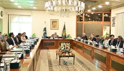 dpm chaired a meeting of the committee on improving government efficiency photo x
