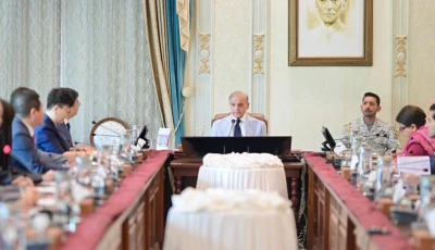 pm shehbaz hails historic pakistan china ties in meeting with chinese business delegation