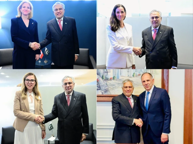 Dar holds talks with European FMs on bilateral, regional developments