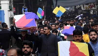 a large number of people purchase kites in connection with the upcoming basant festival in the provincial capital photo app