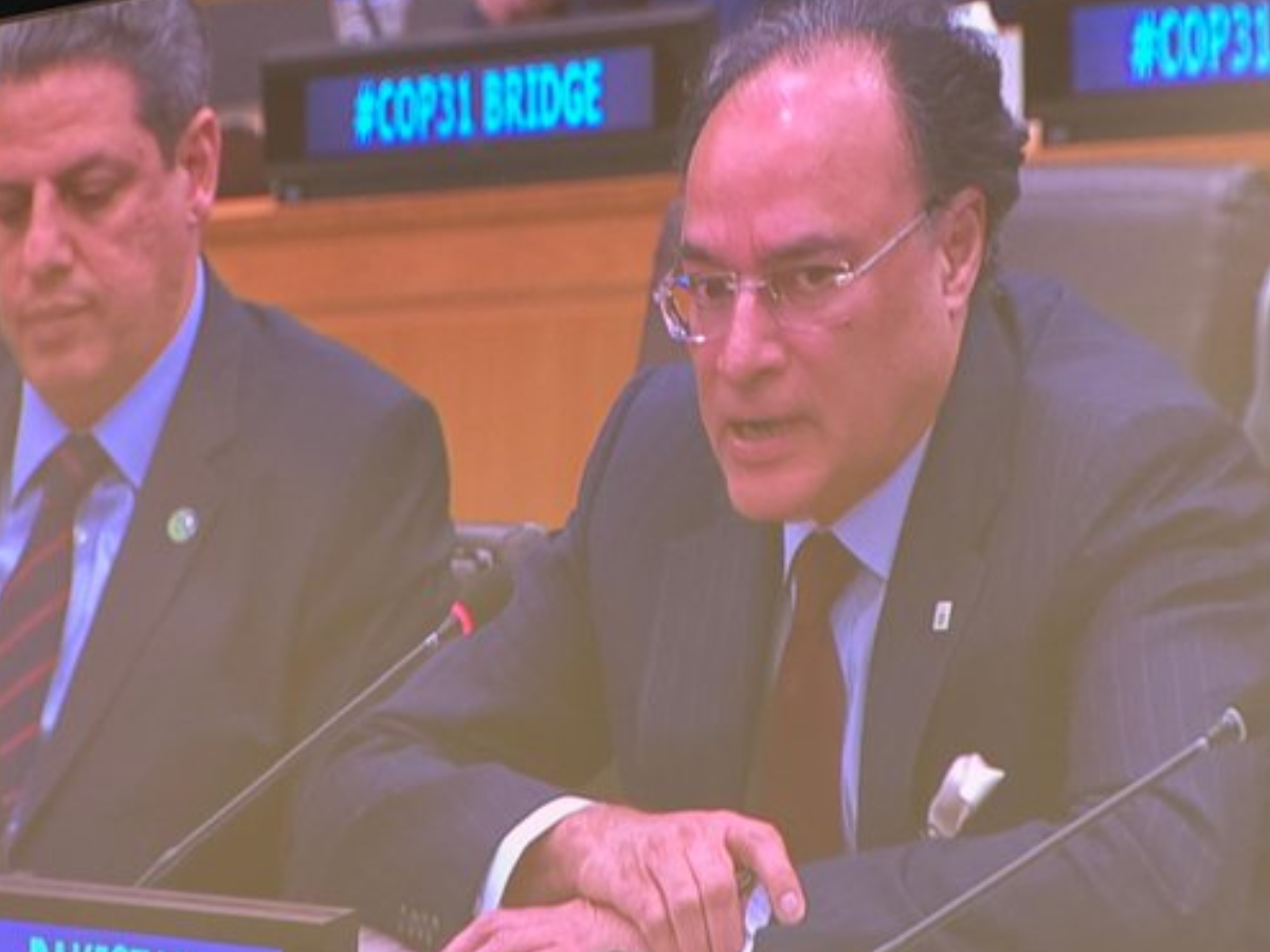 Finance Minister Aurangzeb Outlines Climate Action Priorities at United Nations General Assembly