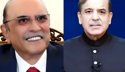a combination picture of president asif ali zardari l and prime minister shehbaz sharif r photo radio pakistan