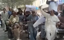 horse donkey carts lead karachi protest horse donkey carts lead karachi protest