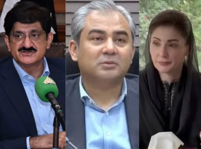 naqvi maryam murad urge unity collective efforts on independence day naqvi maryam murad urge unity collective efforts on independence day