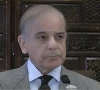 pm shehbaz honours services of former parliamentarians pm shehbaz honours services of former parliamentarians