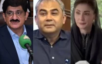 naqvi maryam murad urge unity collective efforts on independence day