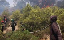 algeria evacuates residents as wildfires spread in annaba province