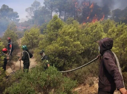algeria evacuates residents as wildfires spread in annaba province