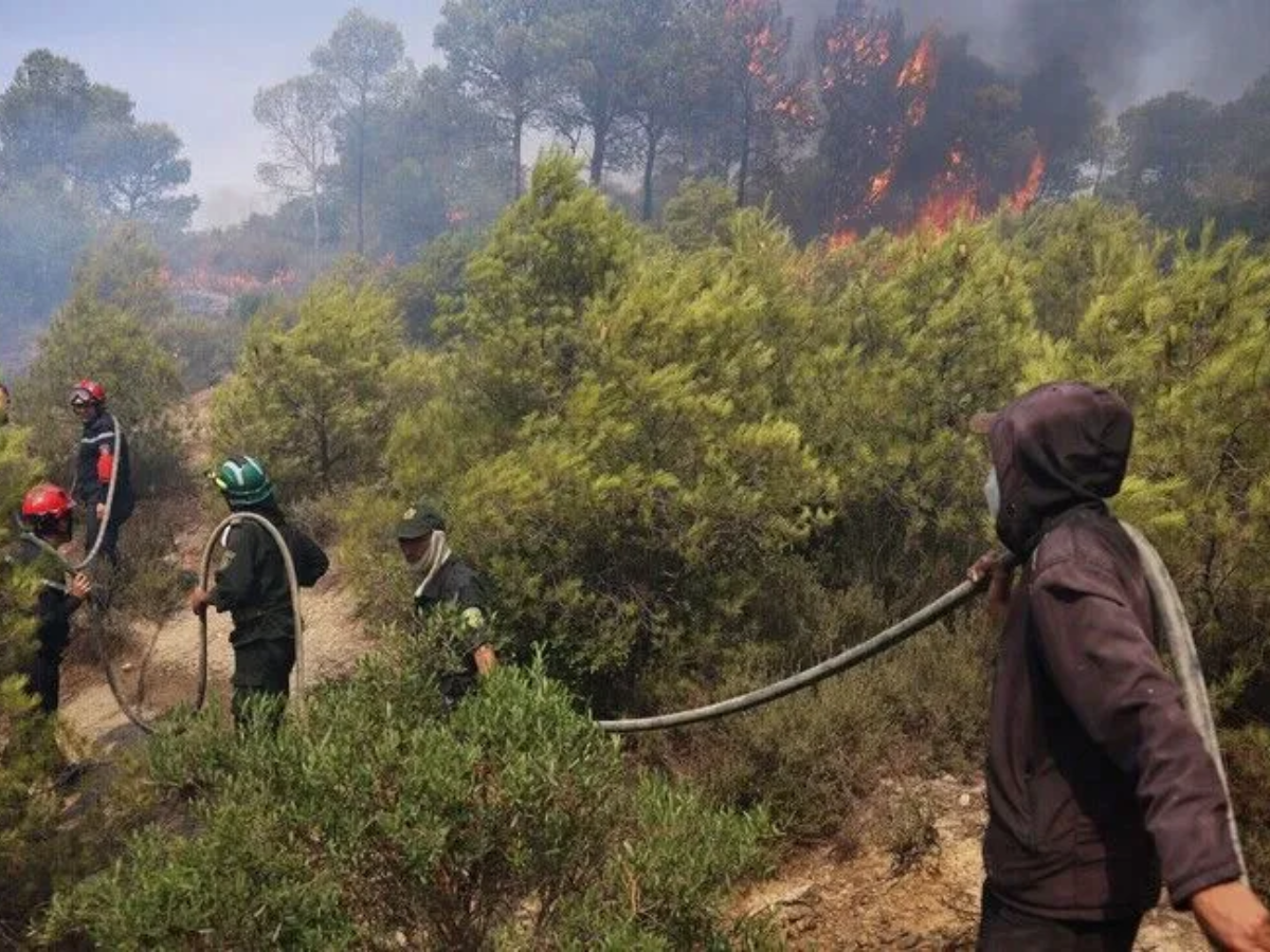 Algeria shifts residents and hospital patients as wildfires spread in Annaba