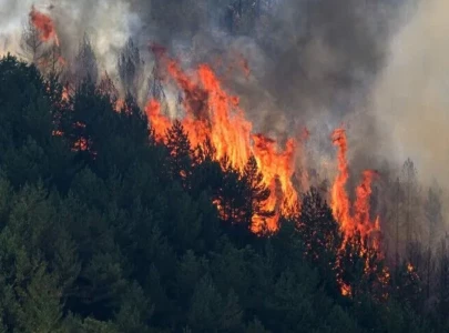 forest fire kills at least 12 in southern spain