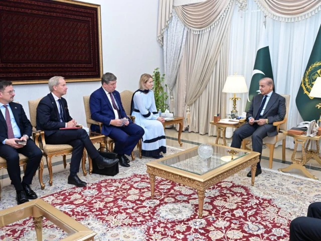 european union s high representative for foreign affairs and security policy and vice president of the european commission he ms kaja kallas called on prime minister of pakistan shehbaz sharif on june 01 2026 photo pm office european union s high representative for foreign affairs and security policy and vice president of the european commission he ms kaja kallas called on prime minister of pakistan shehbaz sharif on june 01 2026 photo pm office