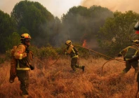 as europe burns a climate coverup continues