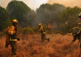 as europe burns a climate coverup continues