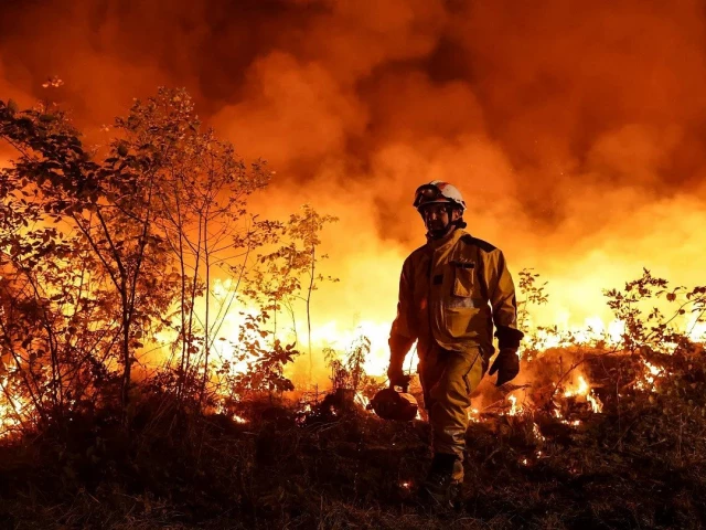 fires break out as europe heatwave intensifies fires break out as europe heatwave intensifies