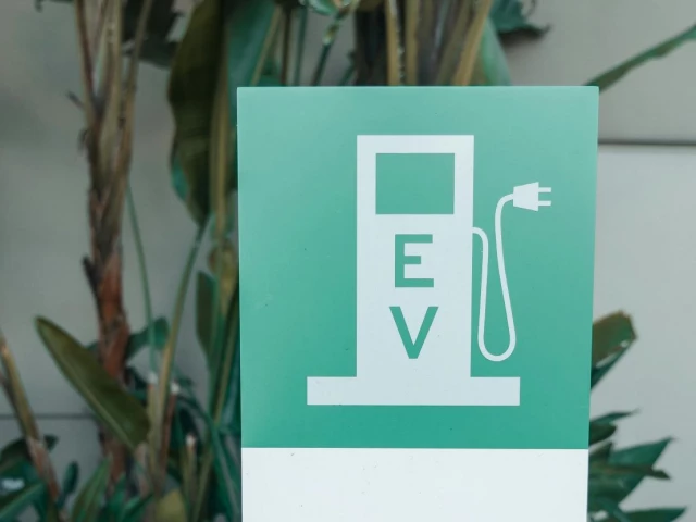 with millions of combustion vehicles plying across the province a small official electric fleet will not reduce air pollution levels photo pixabay with millions of combustion vehicles plying across the province a small official electric fleet will not reduce air pollution levels photo pixabay