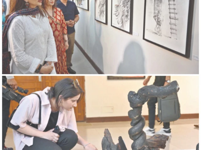 senator sherry rehman alongside other art enthusiasts studies the different artworks which represented kalashi culture and community though the use of colours and a variety of mediums at the rekingdingling the kalash narrative exhibition hosted at pnca islamabad photos app senator sherry rehman alongside other art enthusiasts studies the different artworks which represented kalashi culture and community though the use of colours and a variety of mediums at the rekingdingling the kalash narrative exhibition hosted at pnca islamabad photos app