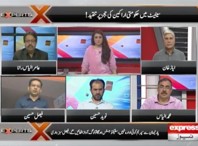 experts urge legislation to clarify institutional boundaries experts urge legislation to clarify institutional boundaries