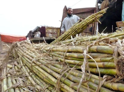cane growers demand fair prices cane growers demand fair prices