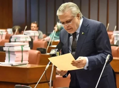 senate rejects india s allegations over pahalgam attack senate rejects india s allegations over pahalgam attack