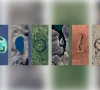 google s 2025 earth day doodle calls for action against climate change google s 2025 earth day doodle calls for action against climate change