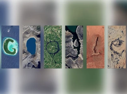 google s 2025 earth day doodle calls for action against climate change google s 2025 earth day doodle calls for action against climate change