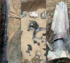 number of indian drones downed by pakistan reaches 77
