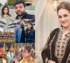 watch bushra ansari comments on rise of daily vloggers