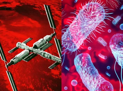 new bacteria discovered outside chinese space station danger ahead new bacteria discovered outside chinese space station danger ahead
