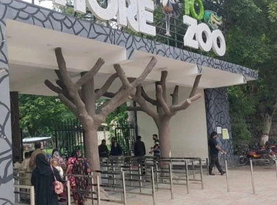 lahore zoo returns to govt control after private firm exits contract lahore zoo returns to govt control after private firm exits contract