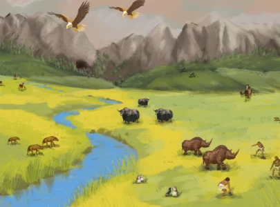 new study sheds light on lifestyle of enigmatic extinct humans new study sheds light on lifestyle of enigmatic extinct humans