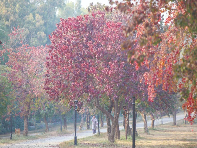 f 9 park islamabad photo file f 9 park islamabad photo file