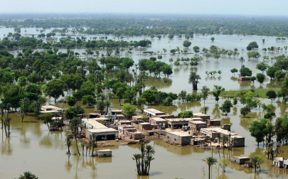 family survives three days on a tree before being rescued family survives three days on a tree before being rescued