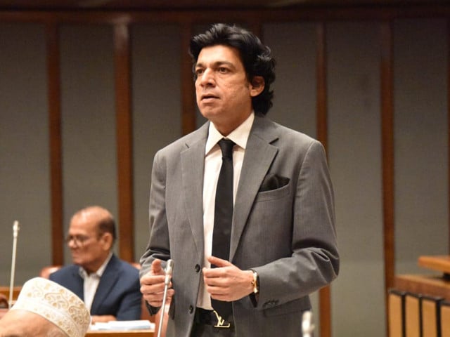 senator faisal vawda speaking during a senate session on tuesday photo facebook senate