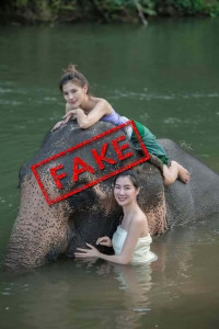 tribune fact check kaavan poses with models in cambodia tribune fact check kaavan poses with models in cambodia