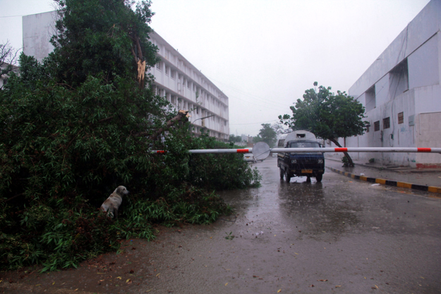 Gusts of wind with rainfall on August 29 also uprooted trees in some areas. PHOTO: ATHAR KHAN