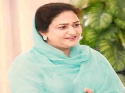 pm suspends epa chief for 4 months