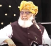 fazl rejects political interference