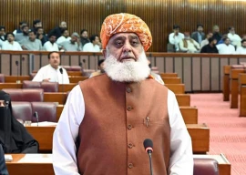 fazl urges govt to take stand on gaza fazl urges govt to take stand on gaza