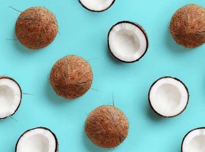 is coconut oil really the skincare holy grail is coconut oil really the skincare holy grail