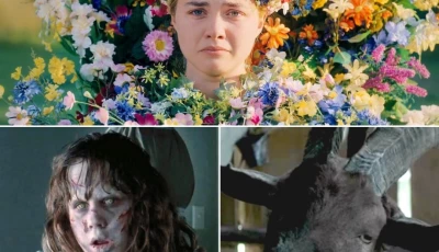 31 best scary halloween movies to watch at your own risk