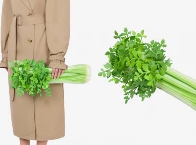 moschino s 3 730 celery stick bag here are some of the most quirky bizarre designer handbags moschino s 3 730 celery stick bag here are some of the most quirky bizarre designer handbags