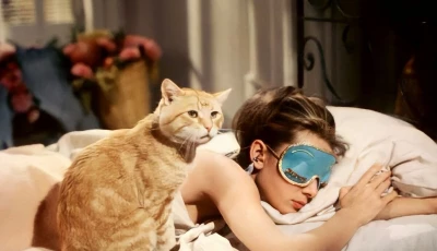 here are 10 reasons why you should sleep with an eye mask