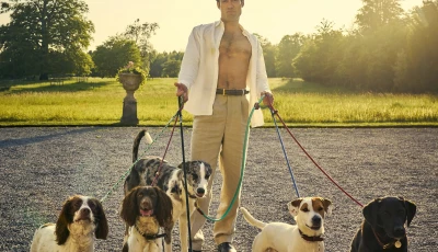 rivals to the diplomat 11 must watch tv shows to stream this november